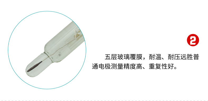 高溫滅菌電極特點(diǎn)