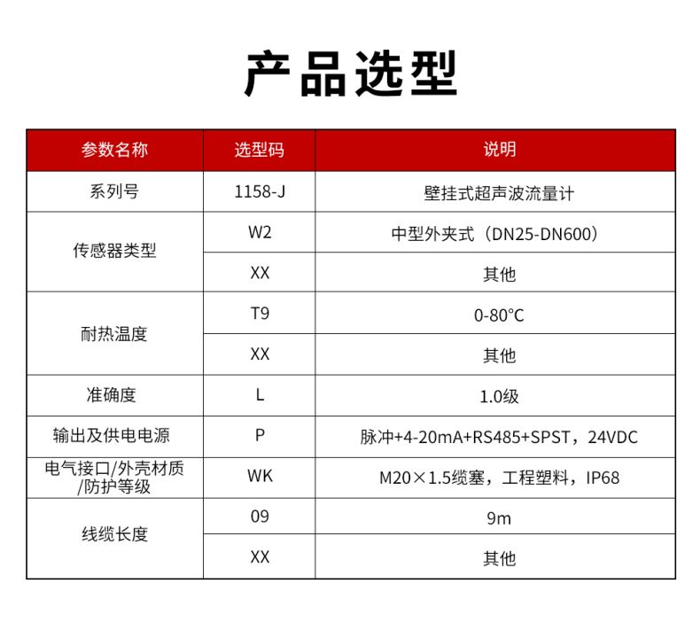 1158-J 壁掛式超聲波流量計(jì).jpg