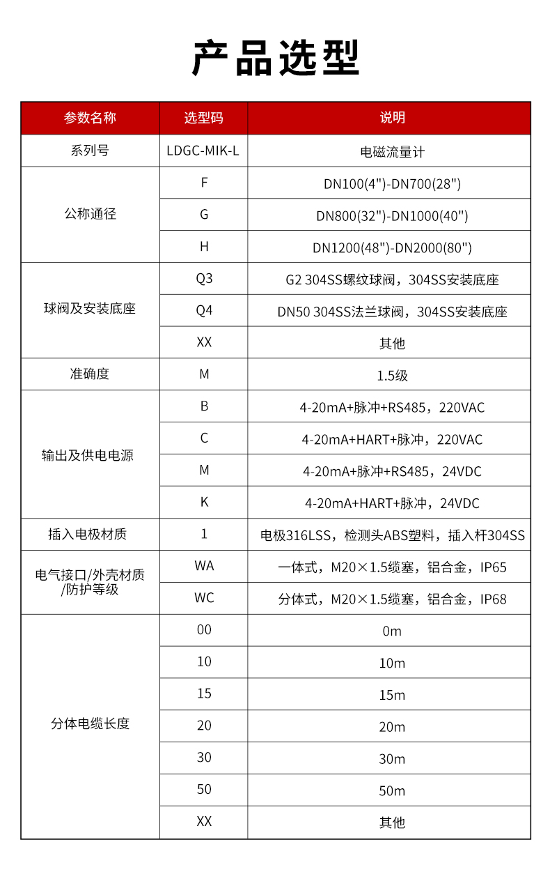 LDGC-MIK-L插入式電磁流量計(QT).jpg