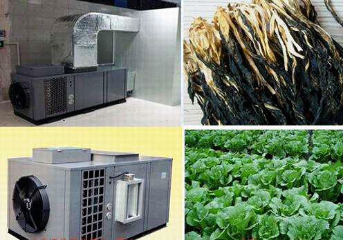 什么是食品烘干房？